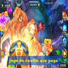 jogo do coelho que paga